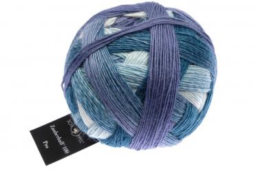 Schoppel Zauberball®100 Pro - Fb. 2518 Elefantentreffen