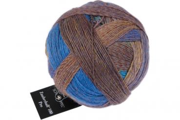 Schoppel Zauberball®100 Pro - Fb. 2623 Frühaufsteher